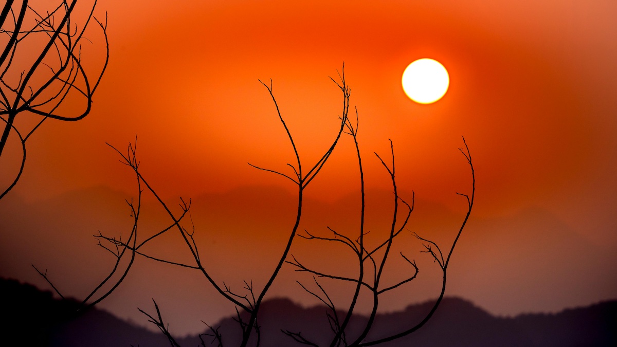 ¿Y si todavía tenés alas…?