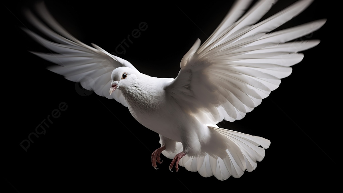 La Promesa que trae mi Nombre: El Plan del Alma