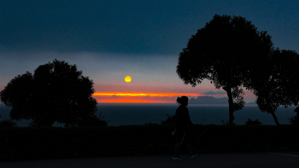 Viaje al Interior: Un camino de sanación que continúa