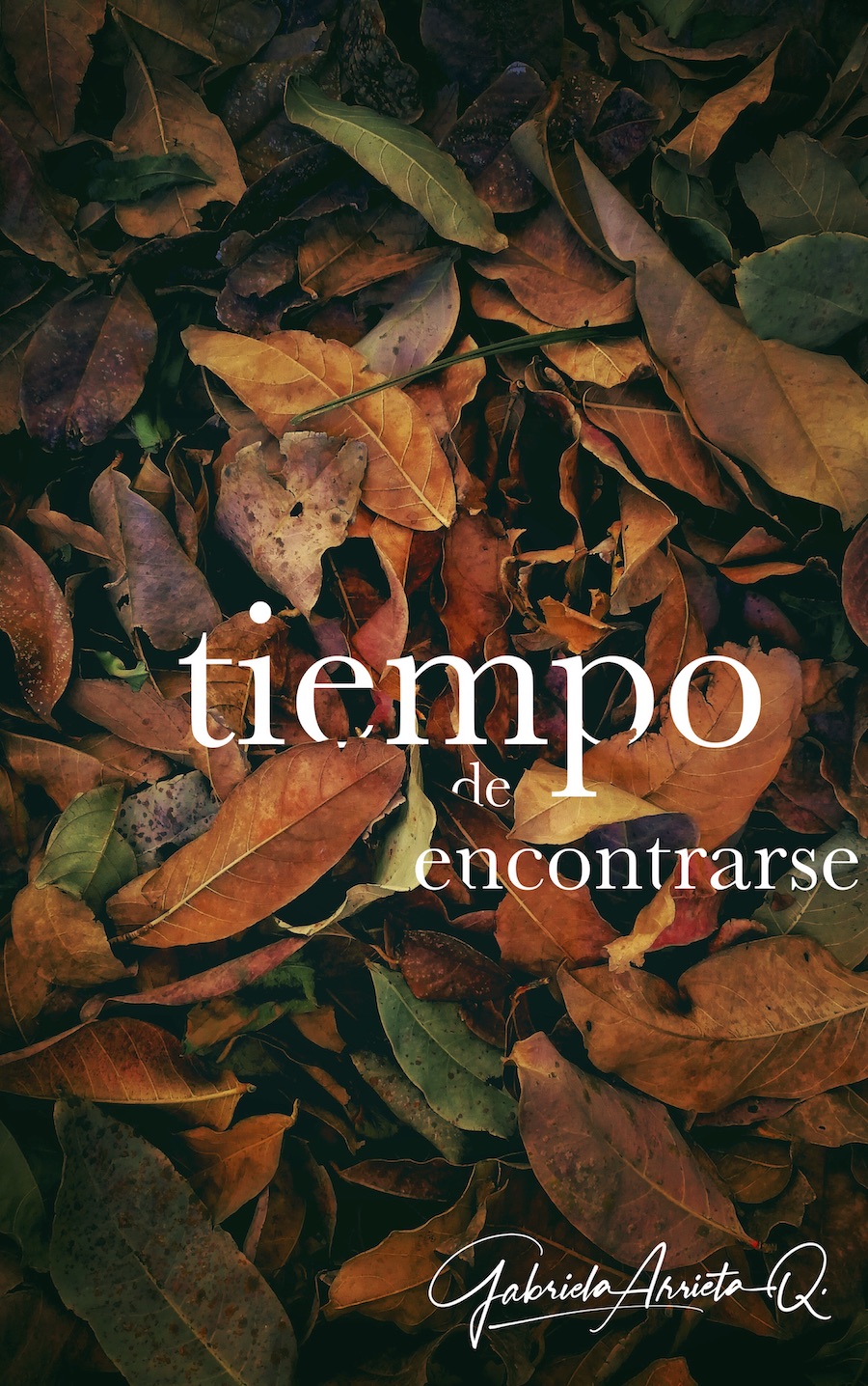 Tiempo de encontrarse, una novela de Gabriela Arrieta